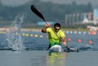 2012 metų sporto akimirkos.