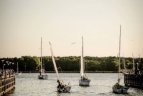 Švyturio Joninių nakties regata Klaipėdoje.