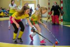 Vaikų žolės riedulio lygos U12 finalinės varžybų momentas
