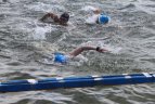 38-asis tarptautinis Platelių plaukimo maratonas.