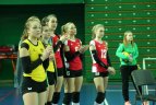 2017 metų Europos čempionato (iki 18 m.) atrankos turnyras Kaune