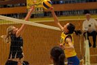 Vilniaus " VTC-Tauras" - Kauno "Heksa"