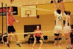 Vilniaus "Flamingo Volley" - Panevėžio "KKSC-Naujoji Agluona"