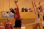 Vilniaus "Flamingo Volley" - Panevėžio "KKSC-Naujoji Agluona"