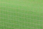 Vilniuje dėl Lenkijos instituto taurės rungėsi jaunieji futbolininkai