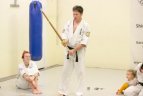 Projekto "Rytų kovos menai kovoje su smurtu" akimirkos.