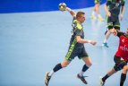 Lietuva – Belgija 33:28.