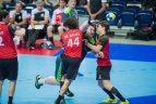 Lietuva – Belgija 33:28.