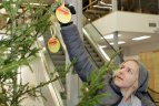 "Kibirkšties-Tichės-Iki" krepšininkės su savo gerbėjais puošė eglutę
