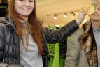 "Kibirkšties-Tichės-Iki" krepšininkės su savo gerbėjais puošė eglutę