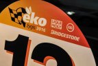 tryliktasis ekonominis žygis automobiliais.