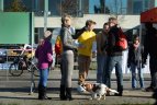 Bėgimas „Vilniaus 10 km su Živile Balčiūnaite“.