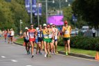 50 km sportinio ėjimo varžybos.