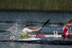 Baidarių ir kanojų irklavimo „Galvės regata“.