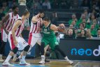 Eurolyga. Kauno „Žalgiris“ - Pirėjo „Olympiakos“.