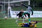 Vilniaus "Žalgiris" - Pakruojo "Kruoja" - 3:1