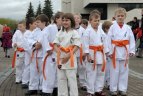 Japonijos bičiuliai, karate meistrai Vilniuje pažymėjo sakurų žydėjimo šventę