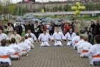 Japonijos bičiuliai, karate meistrai Vilniuje pažymėjo sakurų žydėjimo šventę