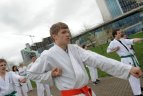 Japonijos bičiuliai, karate meistrai Vilniuje pažymėjo sakurų žydėjimo šventę