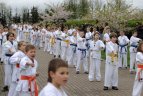 Japonijos bičiuliai, karate meistrai Vilniuje pažymėjo sakurų žydėjimo šventę