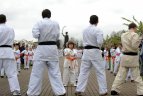 Japonijos bičiuliai, karate meistrai Vilniuje pažymėjo sakurų žydėjimo šventę