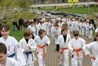 Japonijos bičiuliai, karate meistrai Vilniuje pažymėjo sakurų žydėjimo šventę