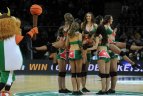 Eurolyga. "Žalgiris" - ALBA.