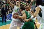 Kauno "Žalgiris" - Malagos "Unicaja"