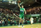 Kauno "Žalgiris" - Malagos "Unicaja"