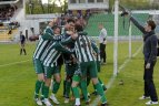 Vilniaus "Žalgiris"- Gargždų "Banga" - 2:0