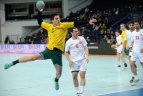 Lietuva - Turkija - 28:23.