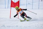 Baltijos Taurė. Super-G varžybos