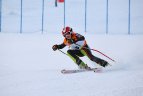 Baltijos Taurė. Super-G varžybos
