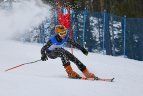 Baltijos Taurė. Super-G varžybos