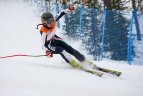 Baltijos Taurė. Super-G varžybos