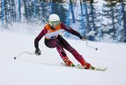 Baltijos Taurė. Super-G varžybos