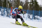 Baltijos Taurė. Super-G varžybos