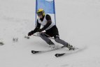 "Žalgirio" žiemos sportp žaidynių kalnų slidinėjimo varžybos