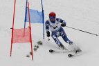 "Žalgirio" žiemos sportp žaidynių kalnų slidinėjimo varžybos