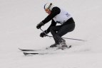 "Žalgirio" žiemos sportp žaidynių kalnų slidinėjimo varžybos