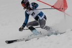 "Žalgirio" žiemos sportp žaidynių kalnų slidinėjimo varžybos