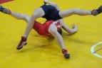 Lietuvos imtynių čempionato preliminarios kovos