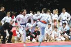 2011.02.20. Baltijos šalių šotokan karatė čempionatas Panevėžio "Cido" arenoje.