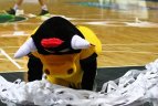 2011-01-15 LKL: Šiaulių "Šiauliai" - Vilniaus "Lietuvos Rytas" - 96 : 95