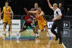 2011-01-15 LKL: Šiaulių "Šiauliai" - Vilniaus "Lietuvos Rytas" - 96 : 95