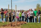 „Kibirkšties-VIČI“ krepšininkės sodino medelius.
