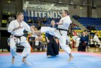 2017 m. Lietuvos tradicinio karatė čempionatas Utenoje