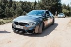 Vyrams „Rally Žemaitija 2019“, moterims - pramoginis „Damų ralis“.