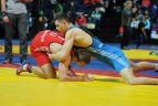 Lietuvos imtynių čempionatas Panevėžyje