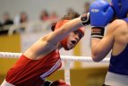 Tarptautinis Dano Pozniako jaunimo bokso turnyras.